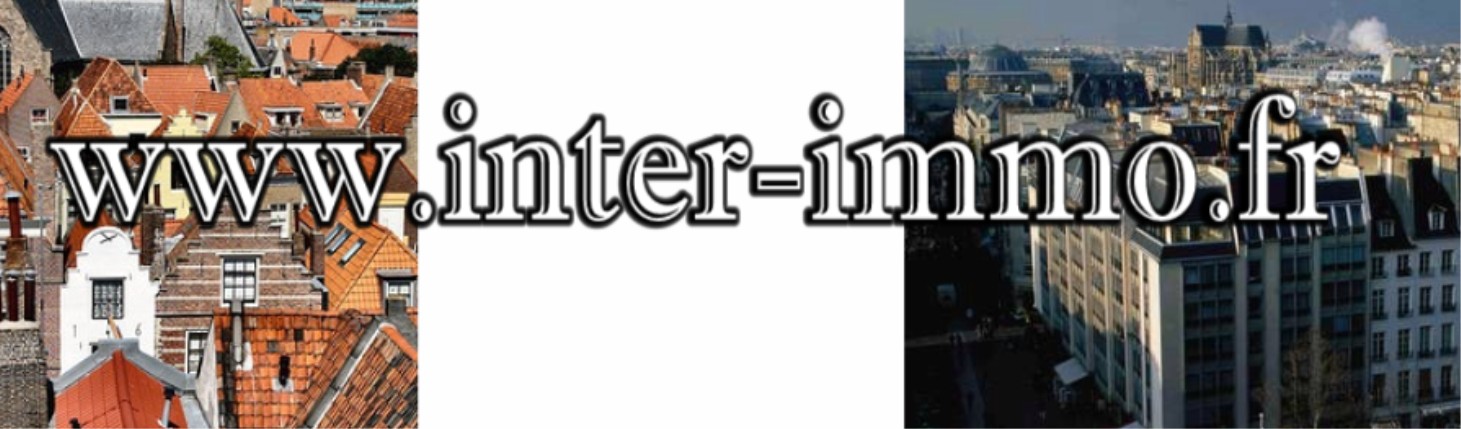 logo_inter-immo